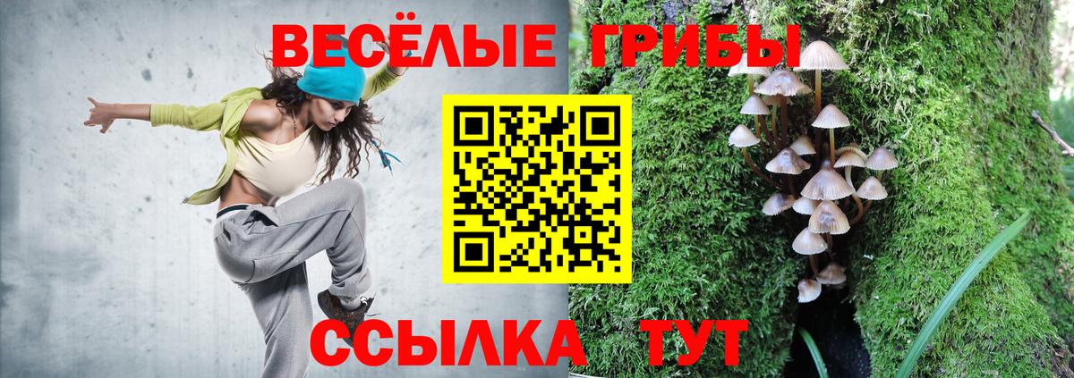Галлюциногенные грибы Magic Shrooms Горно-Алтайск