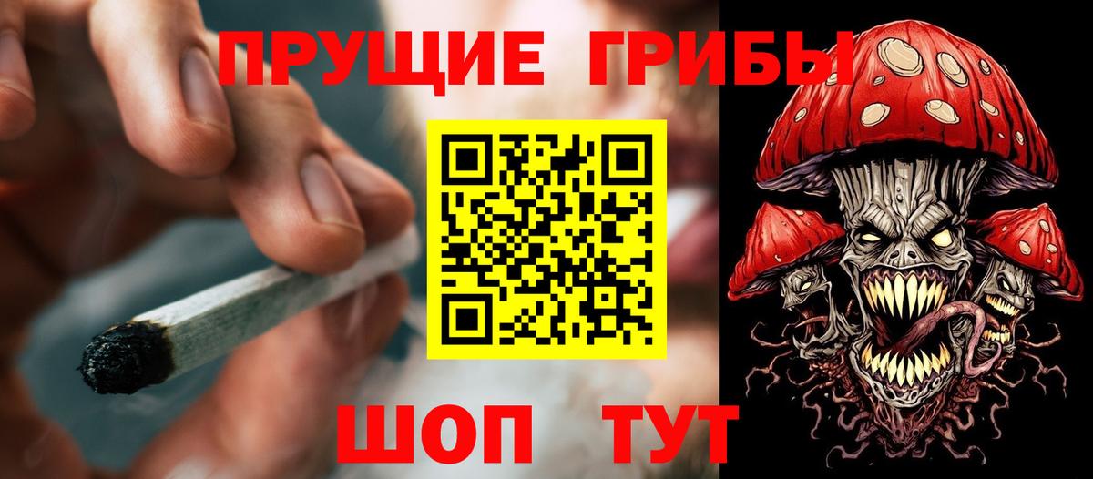 Горно-Алтайск  Галлюциногенные грибы ЛСД  Вход с VPN  Псилоцибиновые грибы GOLDEN TEACHER 